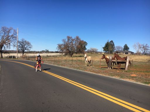 Safety first 👍🏼