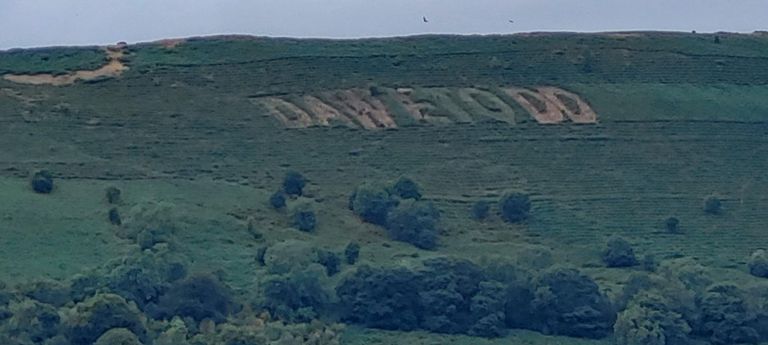 Protest against?? Google Translate translates "dawetodd" as "he fell silent".