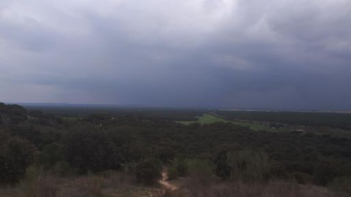 Salvé por los pelos!!