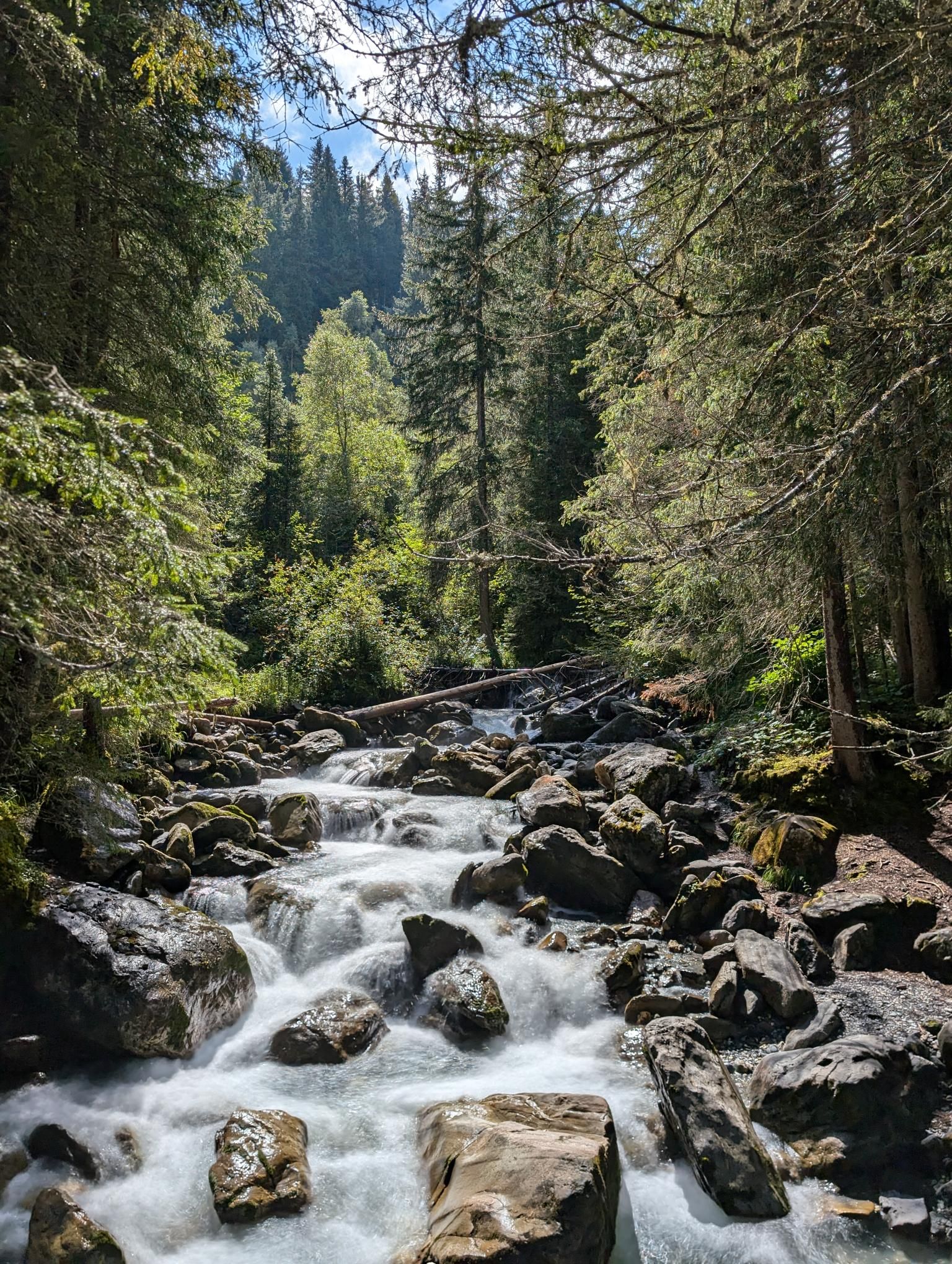 GR 5 Part 1 - Day 9 photo 12