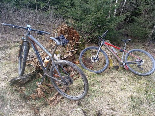 Päuschen für die Babys....