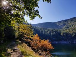 De belles couleurs sur les crêtes