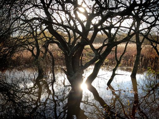 Light and reflections on the Sandown Cycle Track