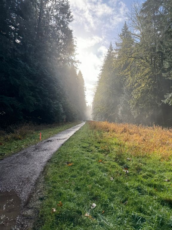 Redmond Watershed Preserve V3 4 5 Mi Running Route On Strava redmond-watershed-preserve-v3-4-5-mi-running-route-on-strava