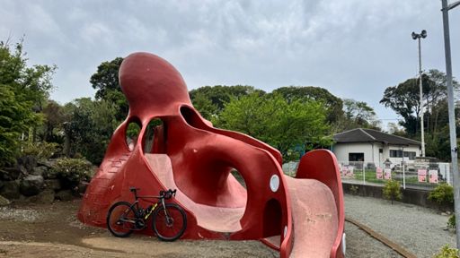 タコおった🐙🐙🐙！！！