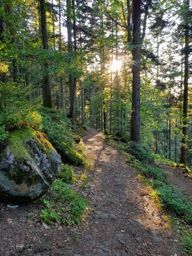 Marche à la Maix en soirée