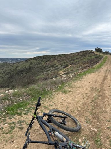 Burn zone recovering nicely...