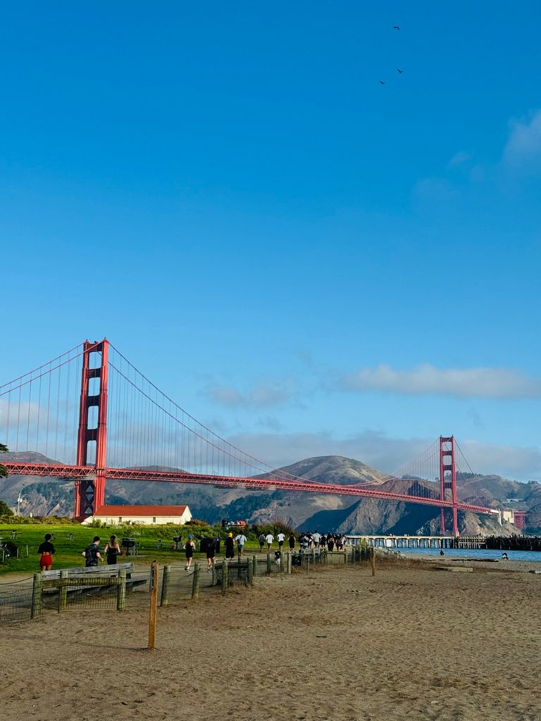 Butterlap (Presidio & Golden Gate Park) photo 128