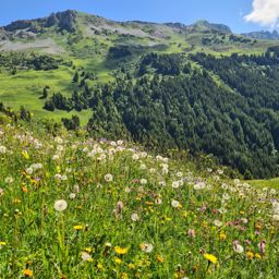 Rando via ferrata Fruttstägä, spilauersee, fulen