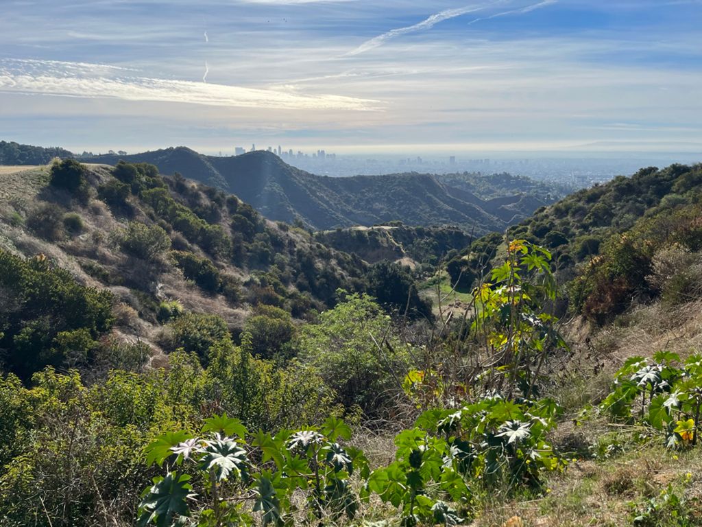 NBB run - Lake Hollywood photo 5