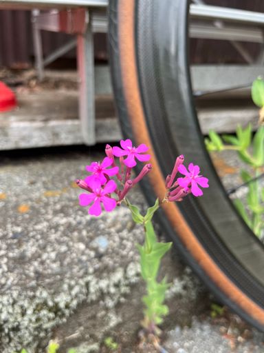 気持ちいい空気感