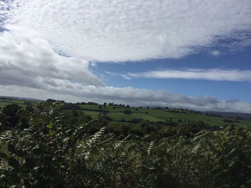 Tough to beat getting out