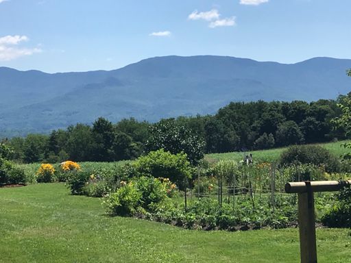 Looking towards home