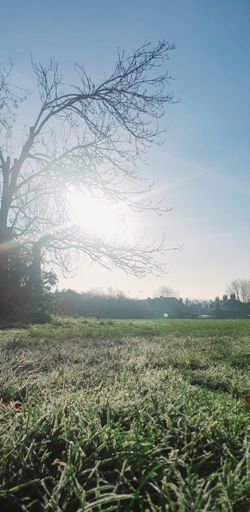 Still icey, stay off the roads!