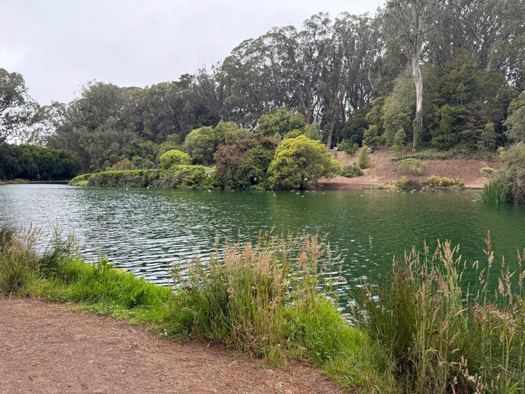 Butterlap (Presidio & Golden Gate Park) photo 92