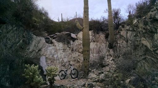 Last time I came here it was few years ago and I remember a smal trail. Now it's definitely gone!