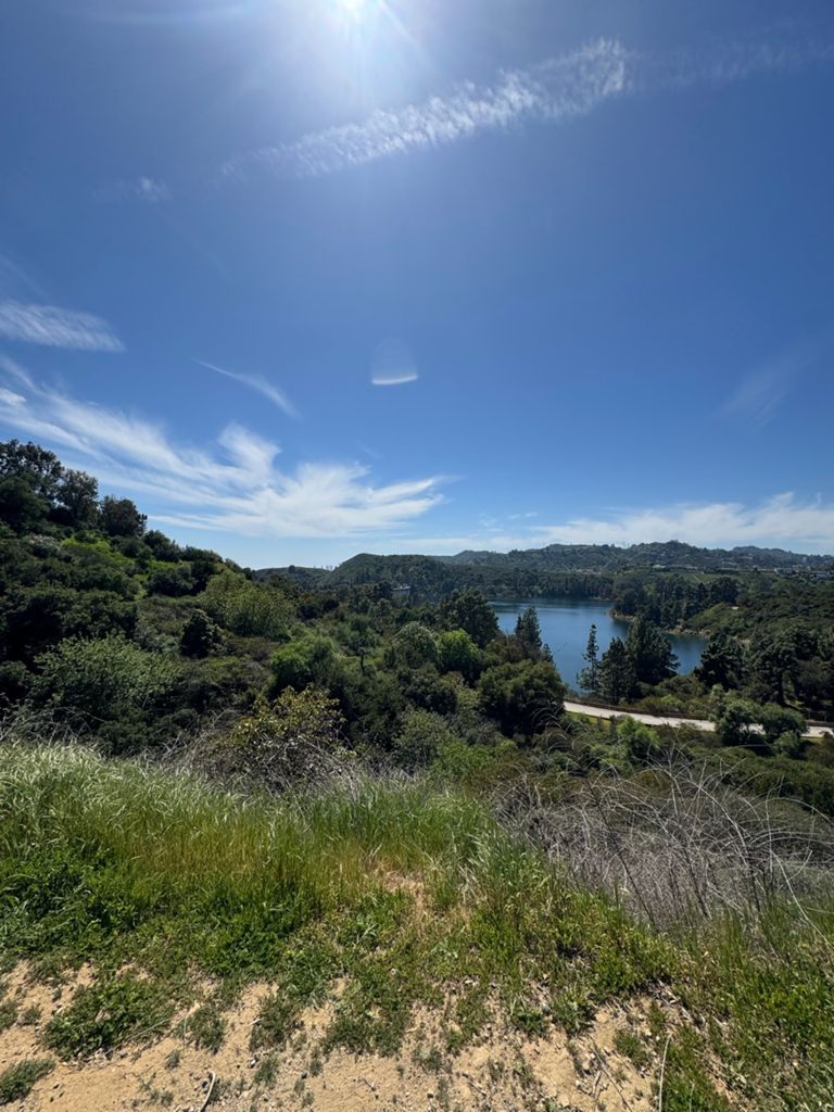 NBB run - Lake Hollywood photo 142