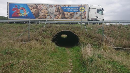 Przejście dla zwierząt i zgarbionych rowerzystów pod S3 w Borowie