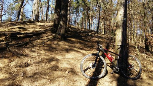 Jedna minutauta zamiast 3,5 jak rok temu