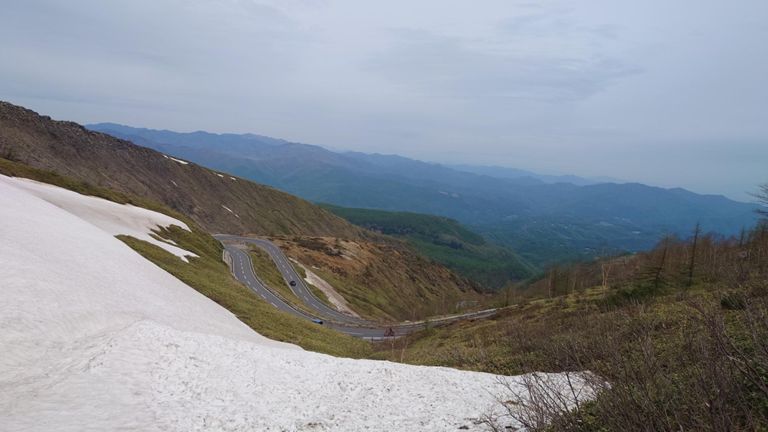 あそこを走ってくのね。