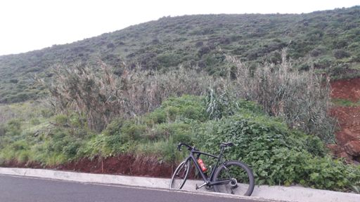 Parada "técnica" 🚱😅