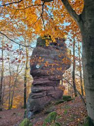 Dans les coins de Wuestenberg
