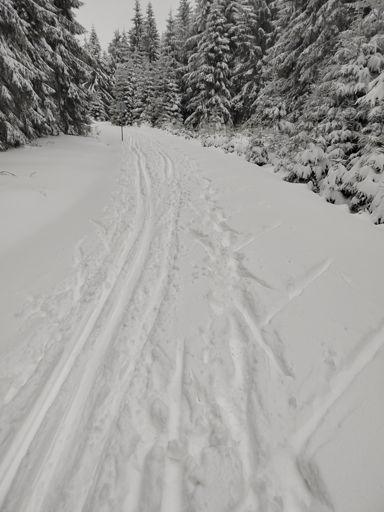 tudy ne! z Homole na Pěticestí zleva jen hlubočák