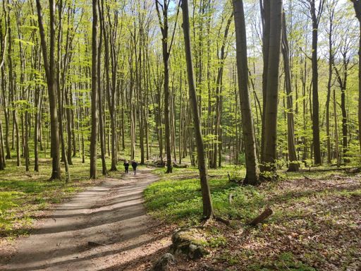 Zjazd z górki w rezerwacie Parkowe