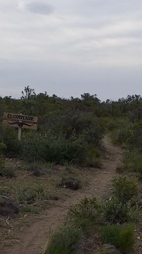 Que nombre le pusieron......!!!!!🤣🤣🤣