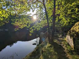 Crapahutage matinal dans les hautes vosges