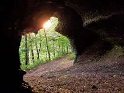 Petite balade vespérale