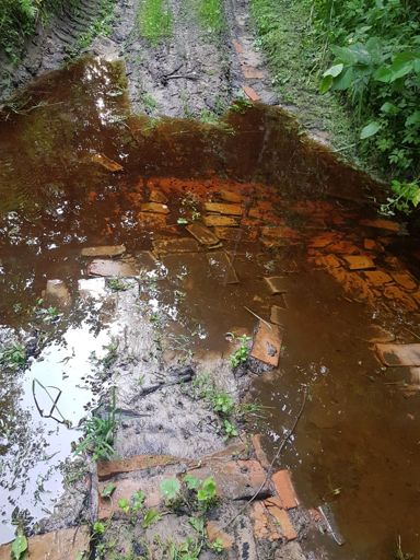 Тарфяны ручай часткова засыпаны цэглай. Зараз тут магчыма праехаць не замачыўшы ланцугу. 
    Летась адразу пасля моцнага дажджу тут была плынь вышэй калена.