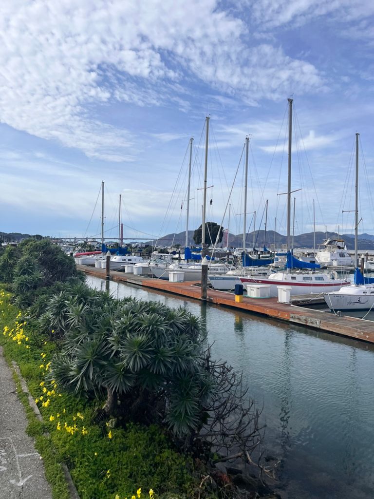 Butterlap (Presidio & Golden Gate Park) photo 8