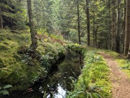 Les deux donons depuis la maison