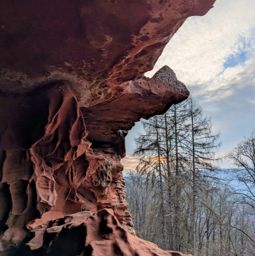 Autour du Falkenstein