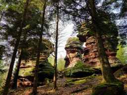 2 rougimonts et 3 pierres