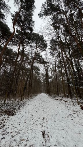 Mit Schnee bedeckt sind auch die Bäume und Wege im Naturpark „Fauler See“.