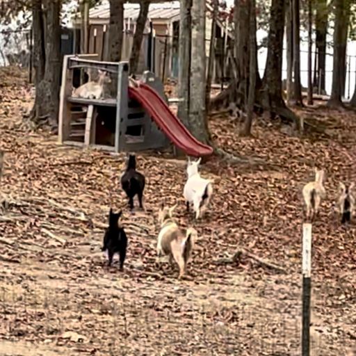 ⏯️ https://youtube.com/shorts/AtR7Ut06brU?feature=share