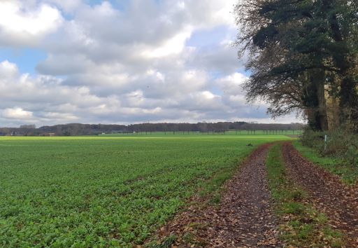 Zicht op de Heronger Höhen