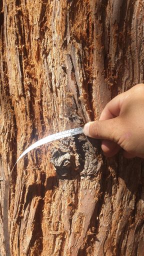 Frankfurt_ID22769_KM_Kurhessenstraße 92