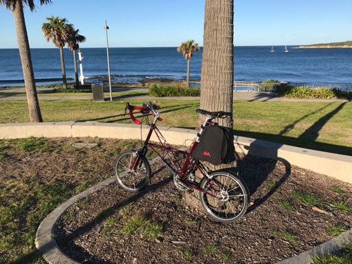 By Oak Park swimming baths. Winter sun was lovely. Pity about the Westerly.
