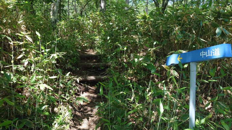 みんな大好き旧中山道♥