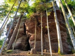 Balade photos à St Quirin