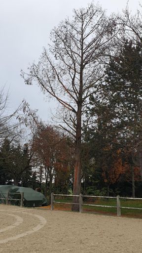 Mainz_ID24205_UM_Rheinhessenstraße 200