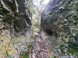 Combes de Vaumale