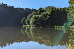 Trail en soirée