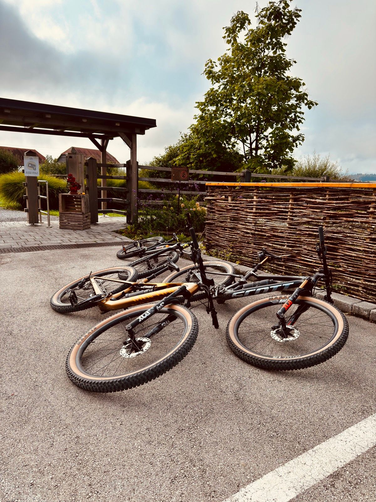 Ride Image 4