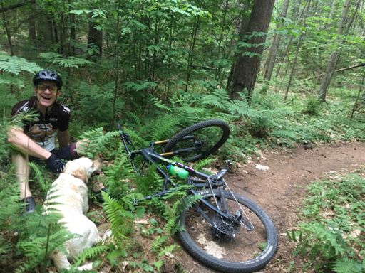 He clipped a tree, but Bree made sure he was ok