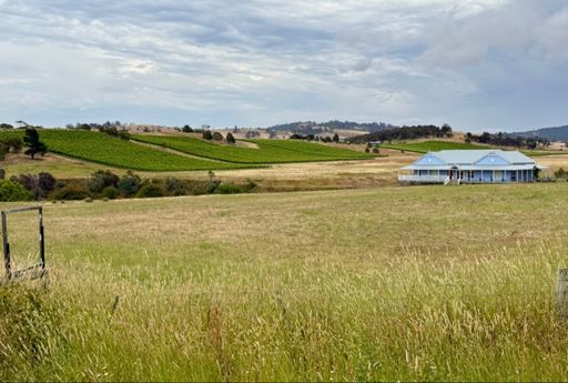 Part of Brinktop Vineyard