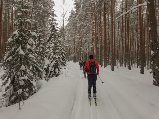 Природный заказник «Верховое болото Раменское».